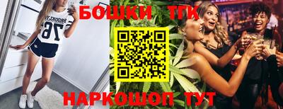 индика Жуковский