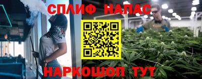 mdpv Донской